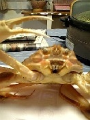 �J�j�B�B�B�B!!