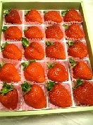 �������[�O��