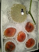 ������Ƃ܂���